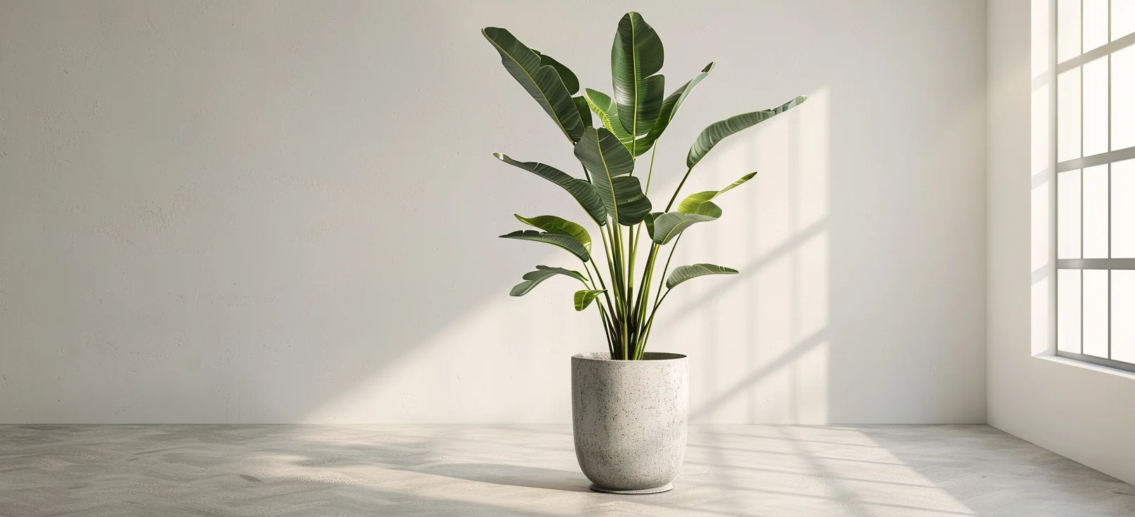 Safety from TrustFloral