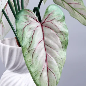 29″ Artificial Caladium Bicolor Bush