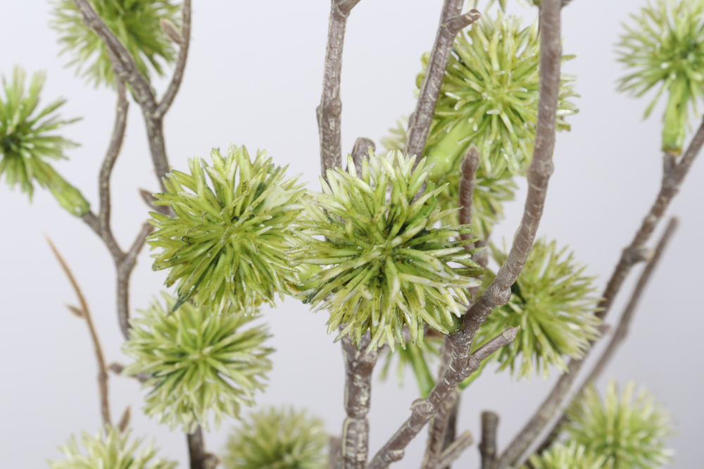 Environmental Impact from TrustFloral