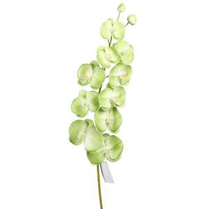 104 cm Artificial Orchid Stem Green factory (1)
