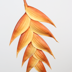 96 cm Artificial Heliconia Stem Orange