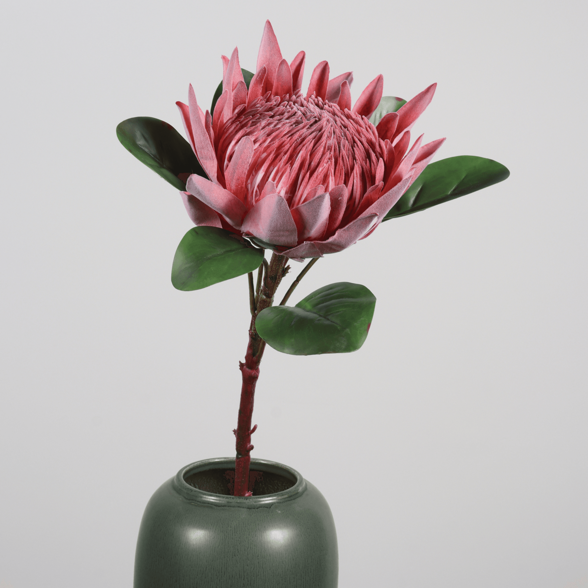 China flower stems manufacturer-1