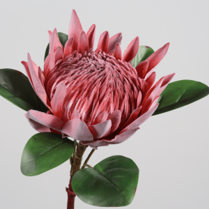 China flower stems manufacturer-2