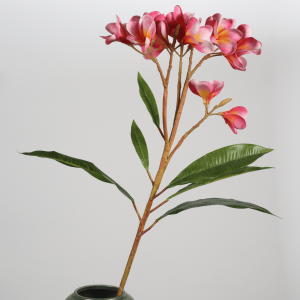 China flower stems supplier