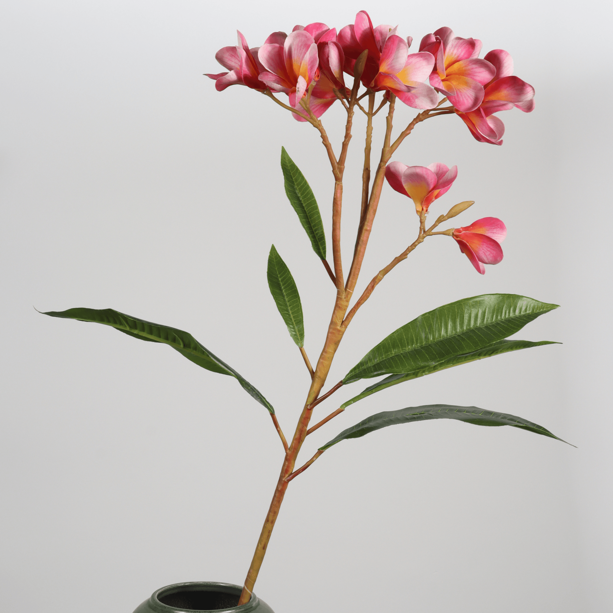 China flower stems supplier