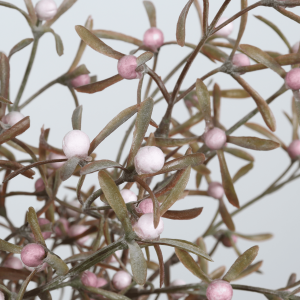 flower bouquets manufacturer in China-2