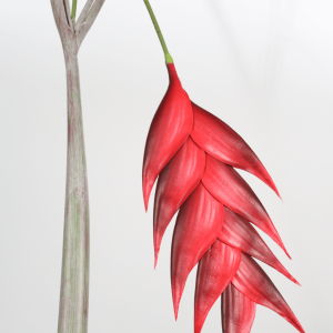 flower stems factory-1