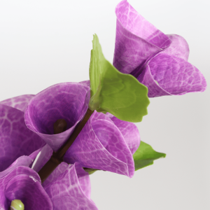flower stems factory-2