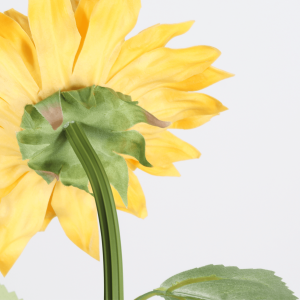 flower stems manufacturer in China-1