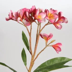 flower stems manufacturer in China-2