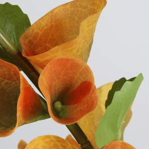 flower stems manufacturer in China-4