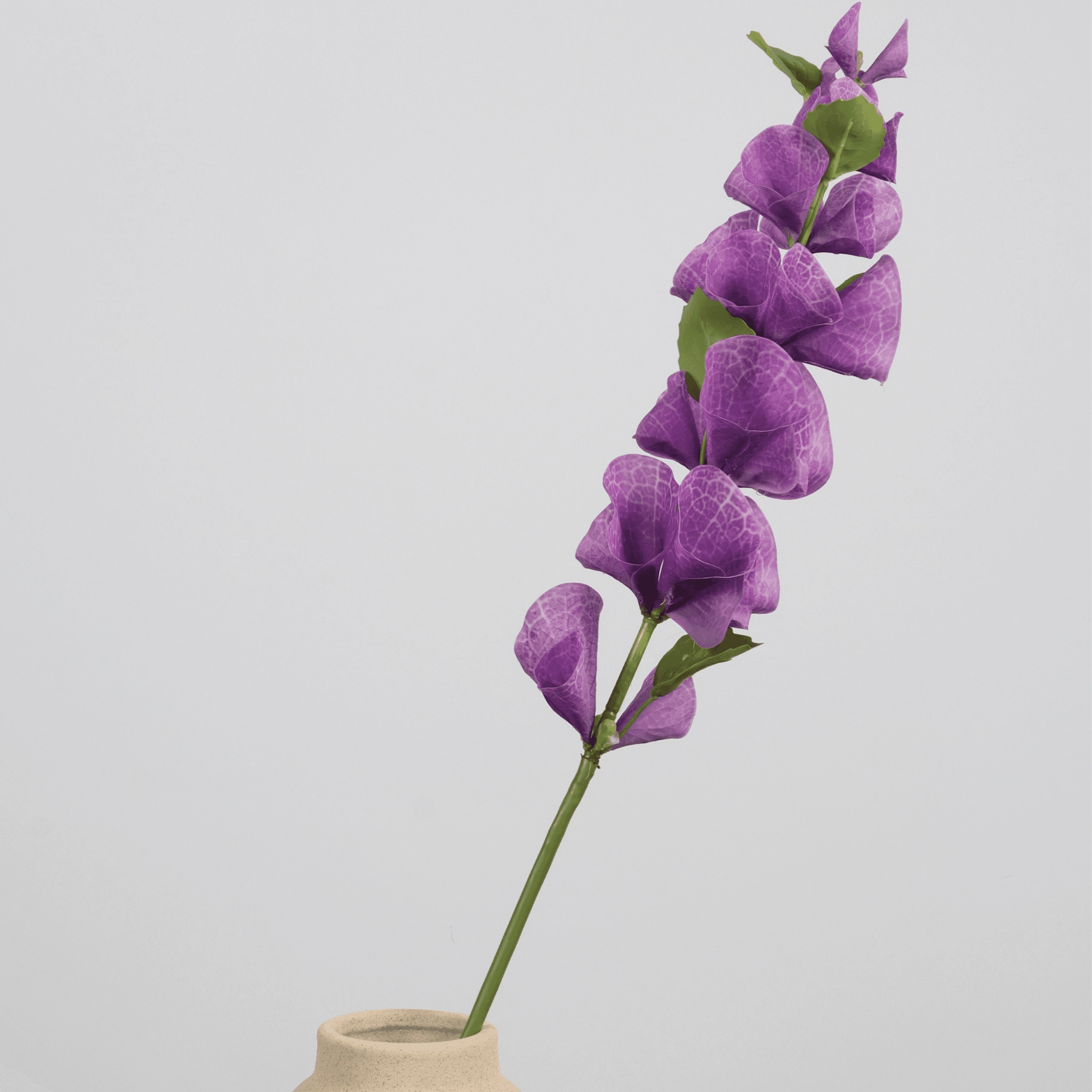 flower stems manufacturer in China-6