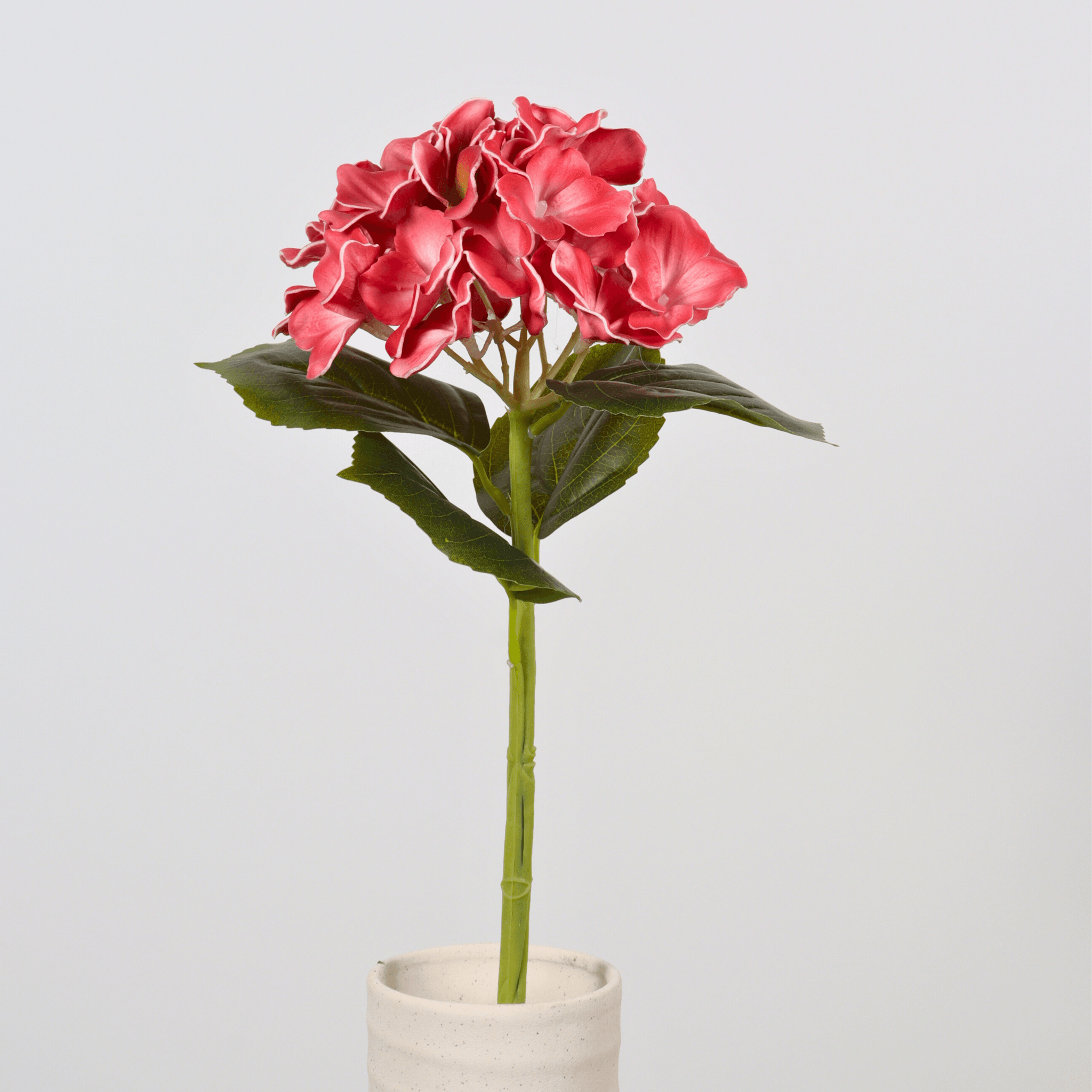 red hydrangea stem manufacturer-2