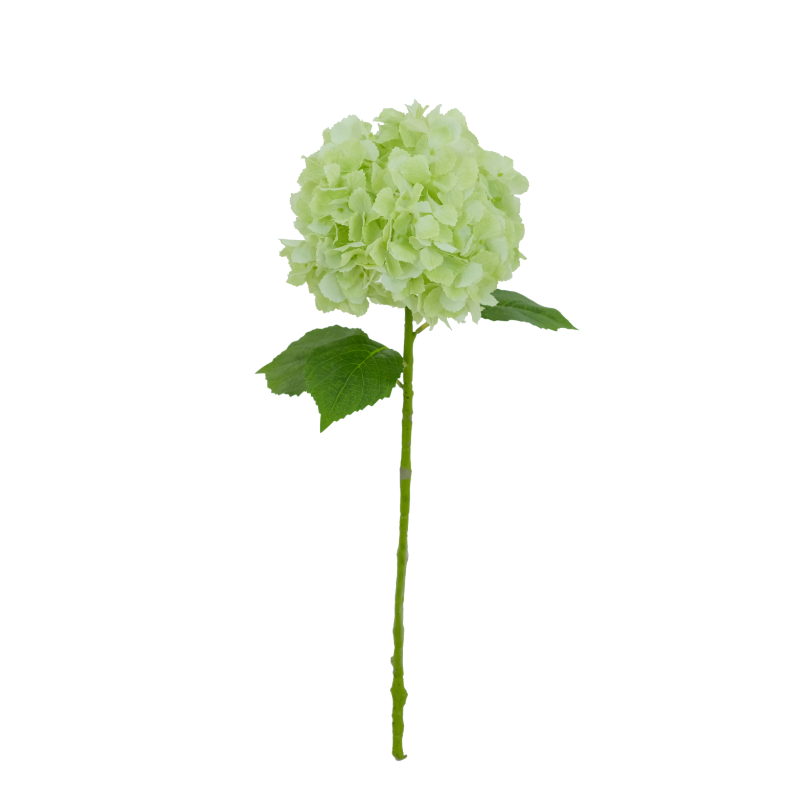 hydrangea artificial flower manufacturer