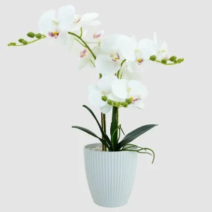 45cm Artificial 3-Stem Orchid Bonsai KC172-45A-2