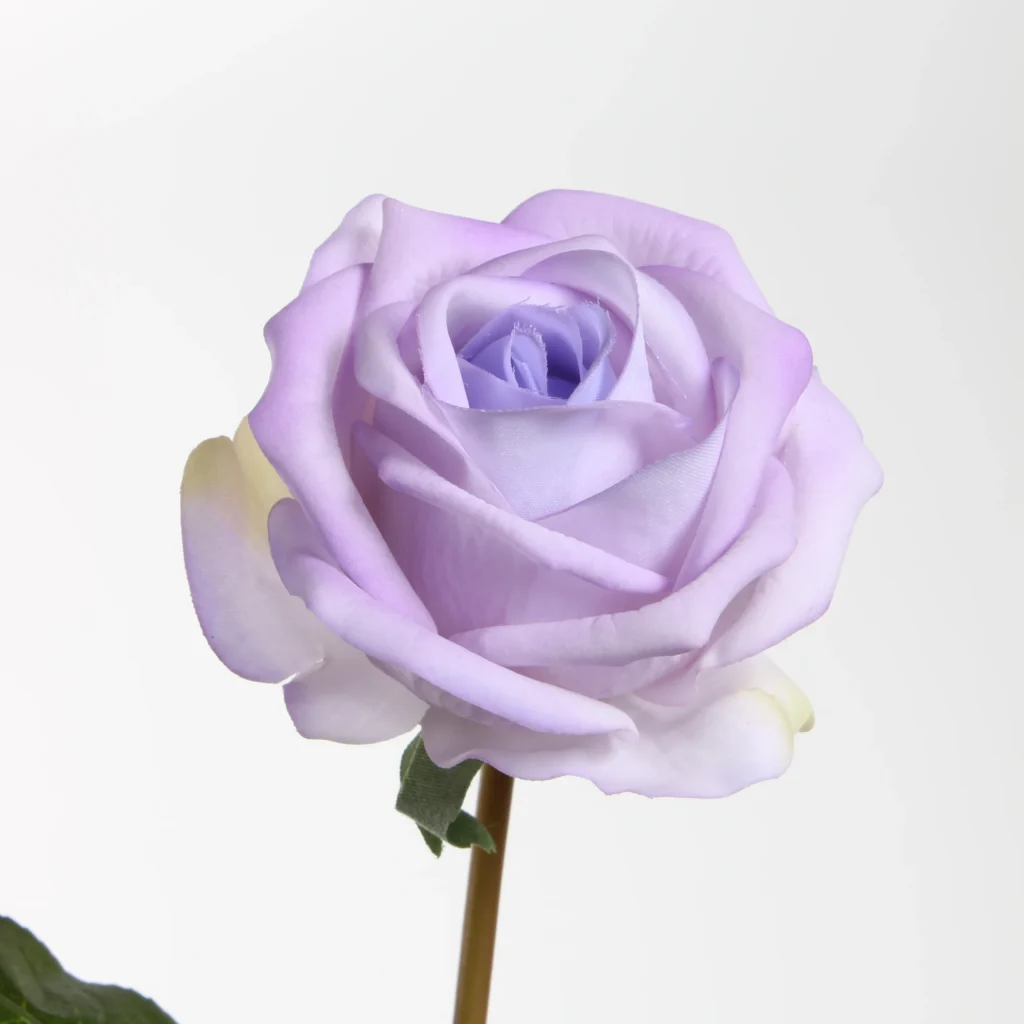 56cm Real Touch Artificial Valentine Rose Stem 26STD376001 details