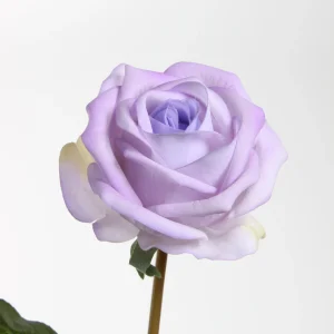 56cm Real Touch Artificial Valentine Rose Stem 26STD376001 details