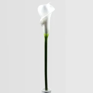 64cm Real Touch Artificial Calla Lily Stem – Elegant Floral Single Stem 24STD293106-W