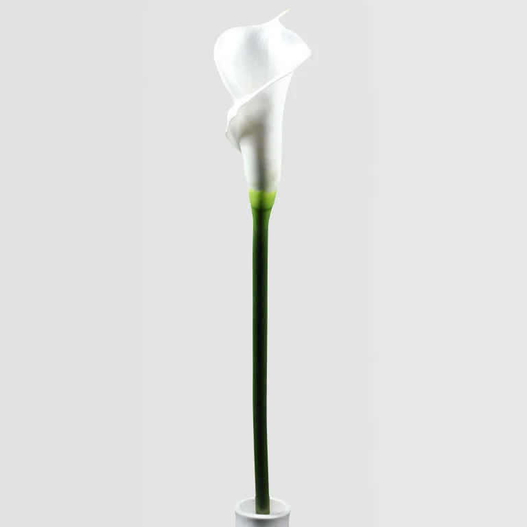 64cm Real Touch Artificial Calla Lily Stem – Elegant Floral Single Stem 24STD293106-W