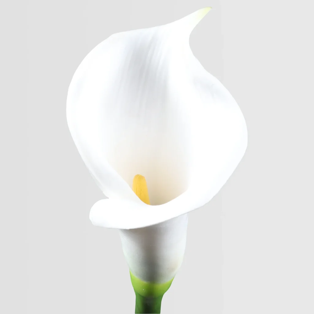 64cm Real Touch Artificial Calla Lily Stem – Elegant Floral Single Stem 24STD293106-W 2
