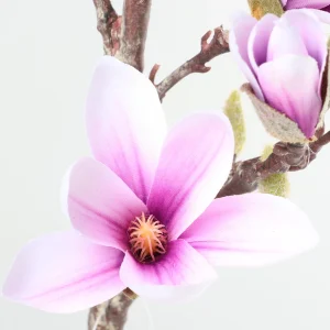 61cm Artificial Magnolia Stem 26STD297027-1 details