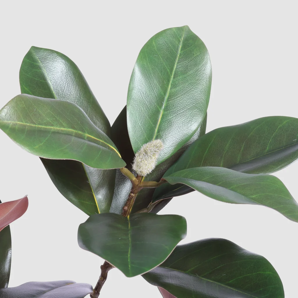 114cm Artificial Magnolia Leaf Branch 26STD338042-1 details