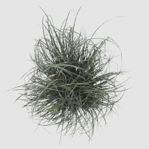 38cm Artificial Onion Grass 25STZ297006-1