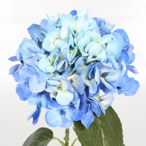 61cm Artificial Hawaiian Hydrangea Stem 26STD604001 DETAILS