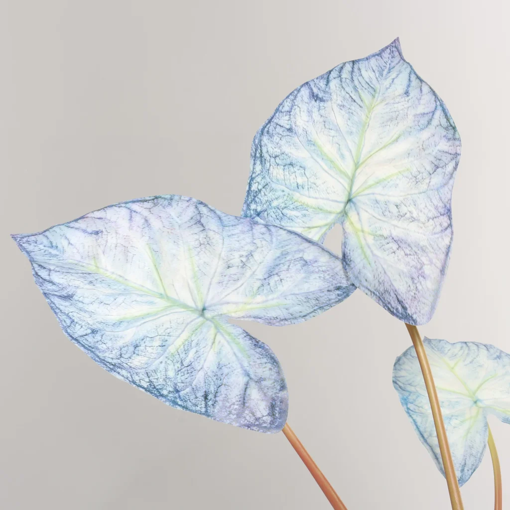 79cm Artificial Blue White Caladium Plant 25STB412015-13 details