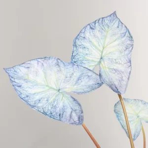 79cm Artificial Blue White Caladium Plant 25STB412015-13 details