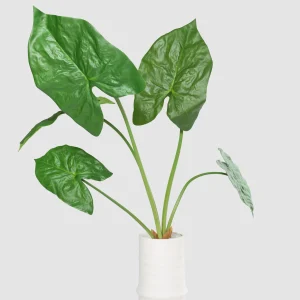 79cm Artificial Green Caladium Plant 25STB412015-1