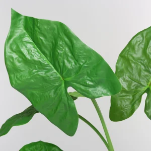 79cm Artificial Green Caladium Plant 25STB412015-1 scene