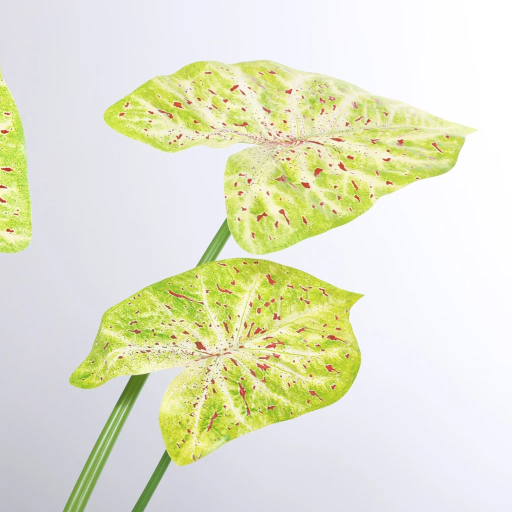79cm Artificial Green Caladium Plant 25STB412015-3 scene