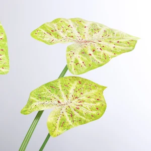 79cm Artificial Green Caladium Plant 25STB412015-3 scene