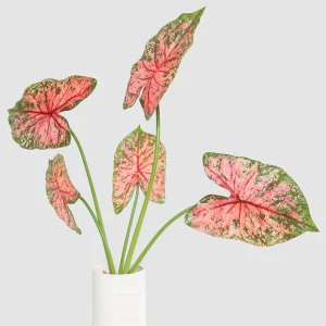 79cm Artificial Pink Green Caladium Plant