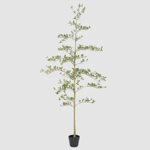 180cm Artificial Small Leaf Black Olive Tree