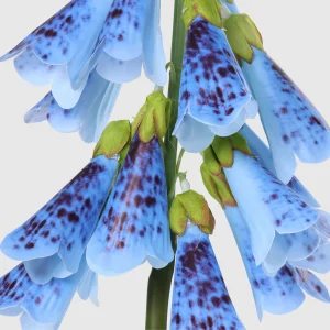 110cm Artificial Real Touch Bellflower Stem