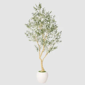 240cm Large Artificial Olive Tree 26STP532004-KD
