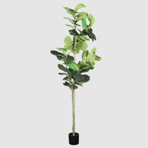 210cm Tall Artificial 3-Trunk Fiddle Leaf Fig Tree