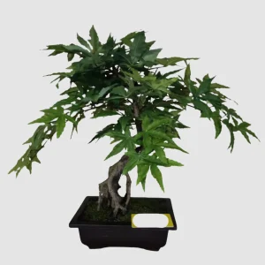 55cm Artificial Green Maple Bonsai in Black Planter YC071-G