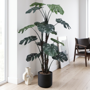 120cm_Monstera_24STS227062_scene
