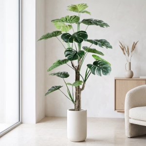 150cm_Monstera_23STS227047_scene