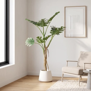 160cm_Monstera_24STS198019_scene