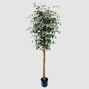 183cm Artificial 3-Trunk Banyan Tree