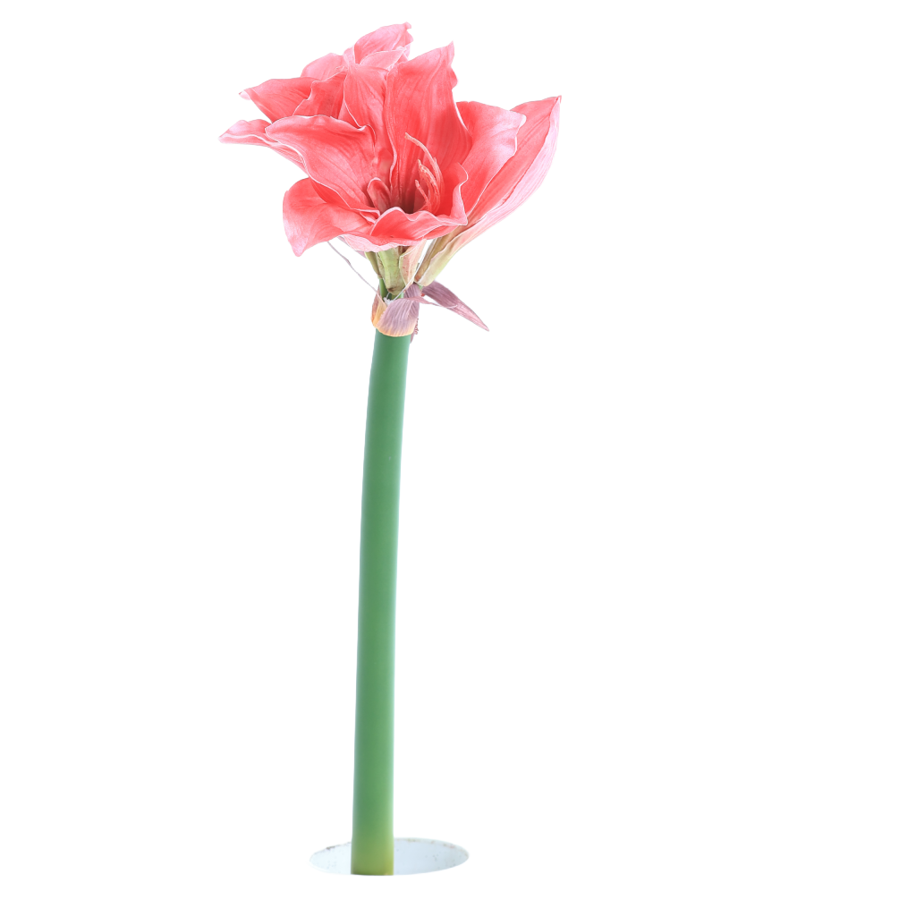 72cm Artificial Real Touch Hippeastrum Stem