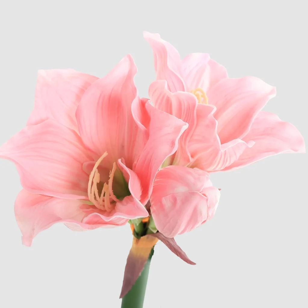 72cm Artificial Real Touch Hippeastrum Stem