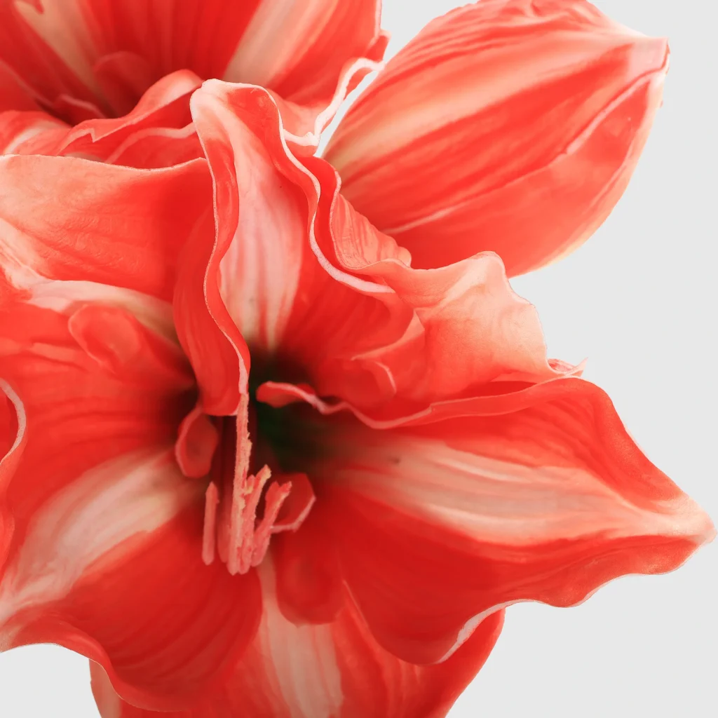 72cm Artificial Real Touch Hippeastrum Stem