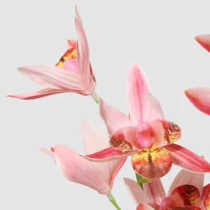 Ramo de Orquídeas Pájaro Artificial de 72 cm 25STB412049 (1)