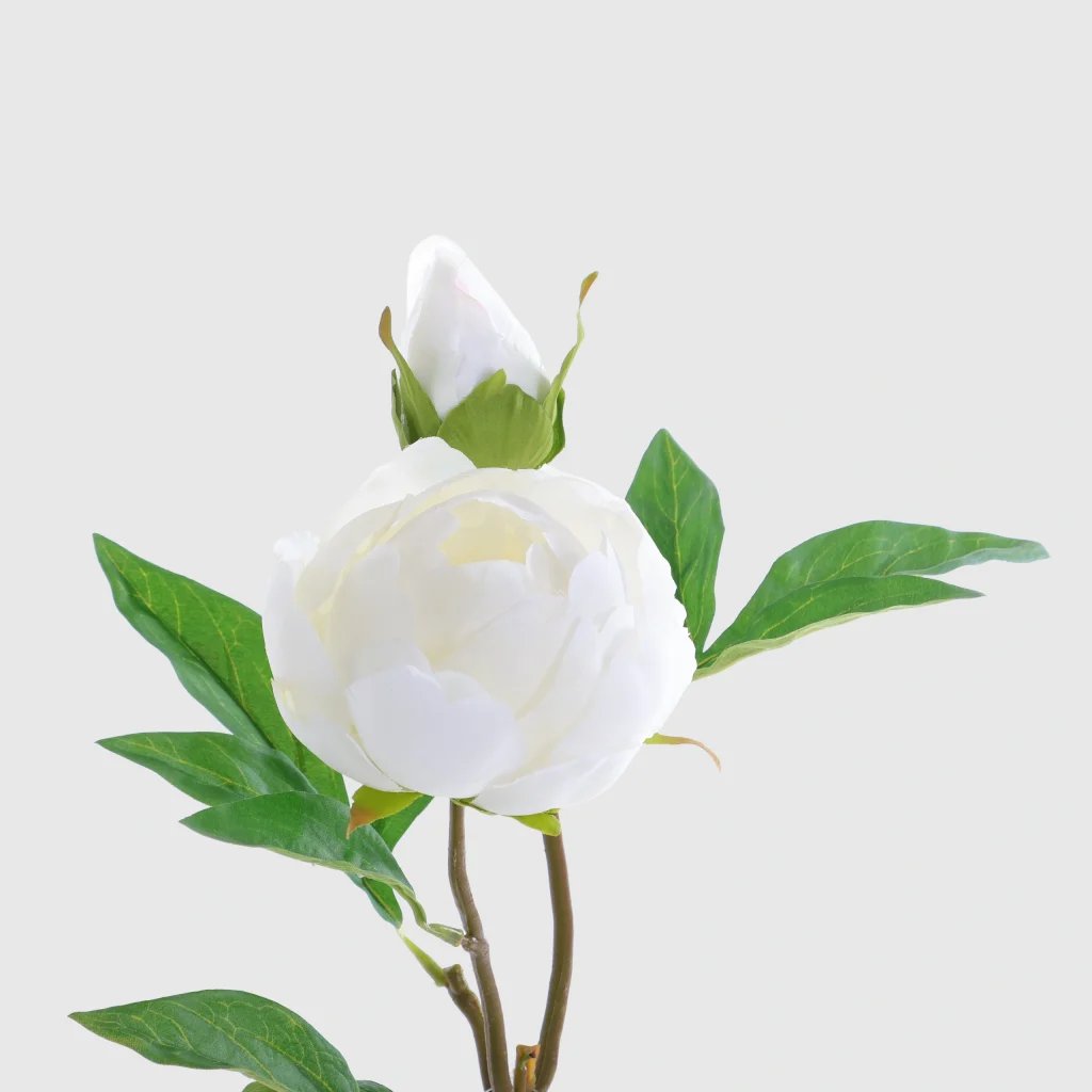 65cm Artificial 2-Head Silk Peony Stem 26STD607008 2