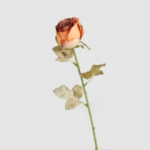 70cm Artificial Vintage Autumn Rose Stem 26STD633001 6
